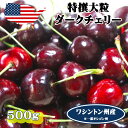 予約 アメリカンチェリー ダークチェリー ワシントン州産 大粒 500g 高級アメリカンチェリー お試し 【6月20日〜8月9日の出荷予定】 00006KD