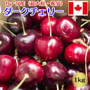 お中元 さくらんぼ アメリカンチェリー カナダ産 超大粒 1kg 高級アメリカンチェリー ダークチェリー 【8月上旬~9月上旬の出荷予定】 送料無料 03600K