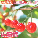 さくらんぼ 佐藤錦 約1kg さとうにしき 山形県産 佐藤錦 さくらんぼ 約1kg 赤い宝石 サクランボ