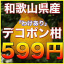 【訳あり★送料無料】和歌山県産デコポン柑 サイズいろいろ 5...