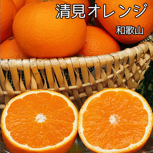 全国お取り寄せグルメ食品ランキング[はっさく(31～60位)]第51位