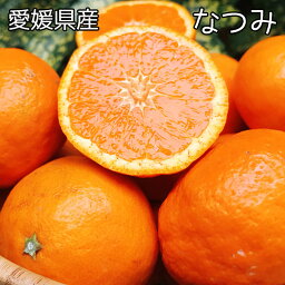 みかん 訳あり なつみ 送料無料 愛媛県 なつみ 2Lサイズ 2.5kg みかん お試し 夏に食べるみかん