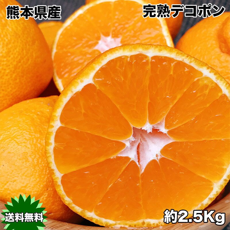 デコポン みかん 2.5kg 送料無料 本家 熊本県産 完熟 デコポン 2.5kg ギフト 光糖度センサー検査済 糖度保証 クール便配送