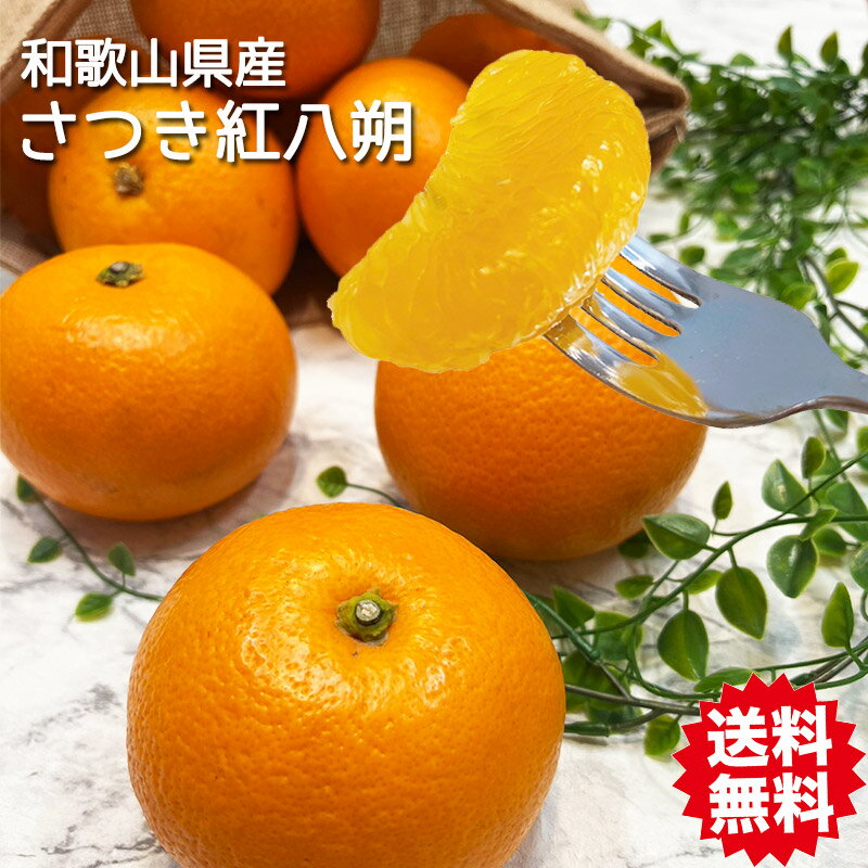 楽天市場】紅八朔 和歌山の通販 楽天市場】紅八朔 和歌山の通販