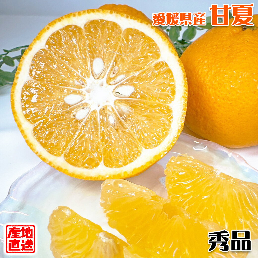 甘夏 あまなつ みかん 秀品 産地直送 送料無料 愛媛県産 甘夏 みかん 秀品 L-3Lサイズ サイズ指定不可 贈答用