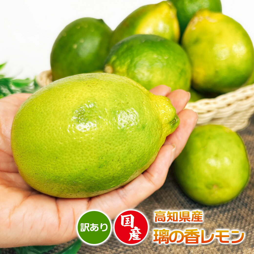 レモン 国産レモン 訳あり 高知県産 璃の香レモン M-3L サイズ混合 ワックス不使用 りのか