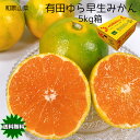 みかん 送料無料 5Kg 有田みかん 和歌山県 有田 ゆら早生みかん 秀 Lサイズ 5kg 早生みかん 贈答用 ギフト