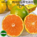 みかん 送料無料 10Kg 有田みかん 和歌山県 有田 ゆら早生みかん 秀 Lサイズ 10kg 早生みかん 贈答用 ギフト