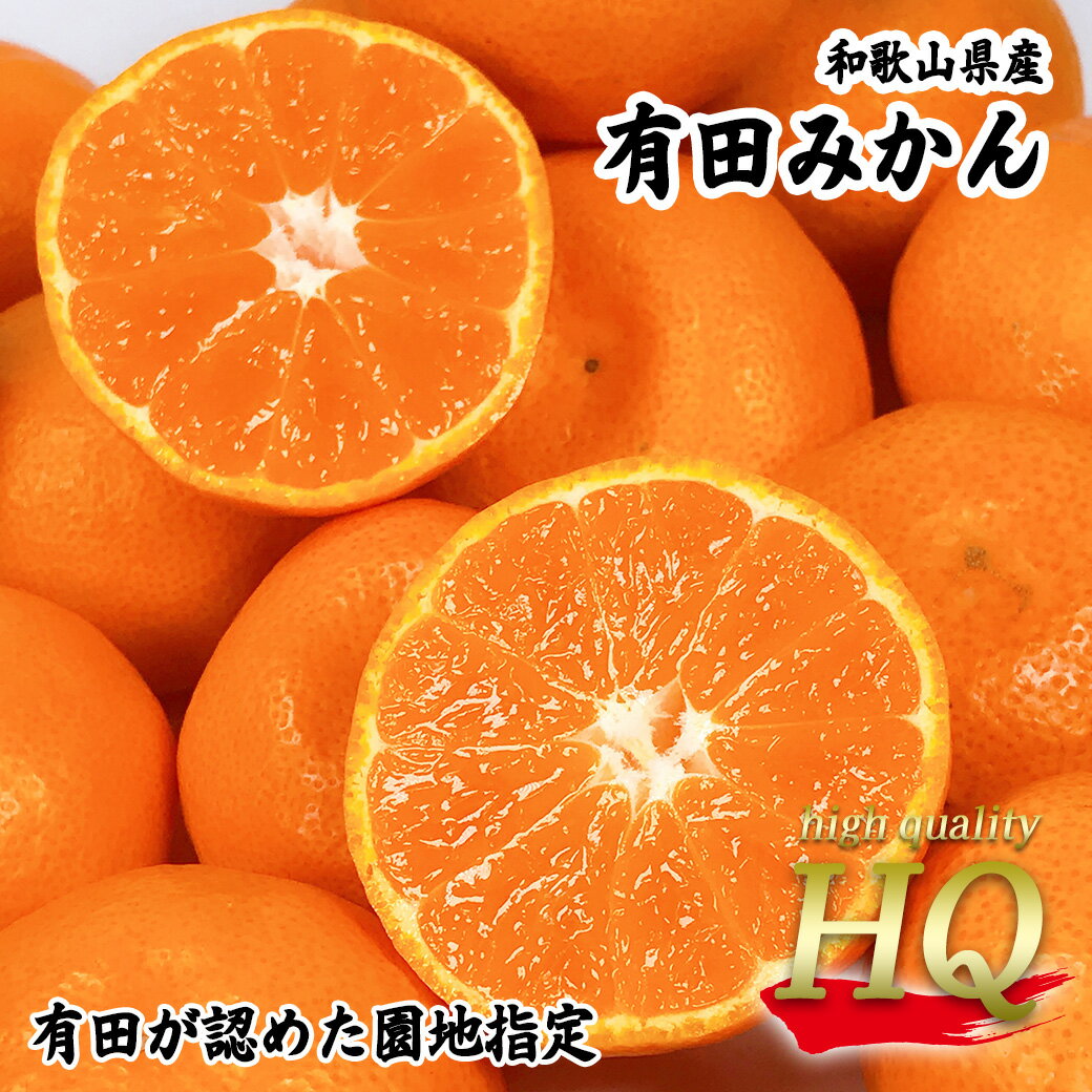 みかん 有田 HQクラス 糖度12度以上 和歌山県産 有田HQみかん 5kg 光糖度センサー識別合格済