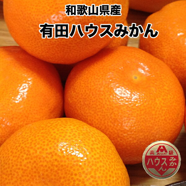 みかん 送料無料 和歌山県 有田みかん ハウスみかん 秀 2.5kg 20玉入 みかん お中元 ギフト 父の日 敬老の日 6月中旬頃から発送