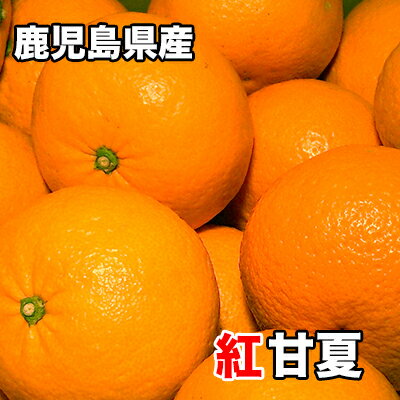 紅甘夏 みかん 10Kg ご贈答用 送料無料 鹿児島県産 紅甘夏 秀品 2Lサイズ 10kg ギフト 贈答用