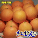 11月22日より出荷 送料無料 愛媛県 紅まどんな Lサイズ...