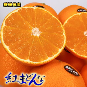 紅マドンナ 紅まどんな 訳あり 送料無料 愛媛県 紅まどんな 4Lサイズ 2.5kg みきゃん箱 ぜりーのようなプルプル果肉 愛媛の貴婦人 ギフト お歳暮 予約 12月中旬頃から