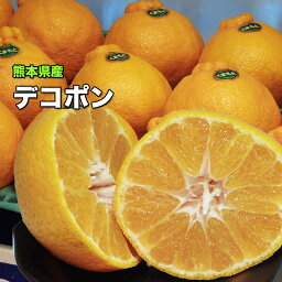 デコポン みかん 2.5kg ご家庭用 送料無料 本家 熊本県産 デコポン 2.5kg 6〜10個入 贈り物 ギフト