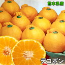 デコポン みかん 2.5kg ご家庭用 送料無料 本家 熊本県産 デコポン 2.5kg 6〜10個入 傷有り ご家庭用