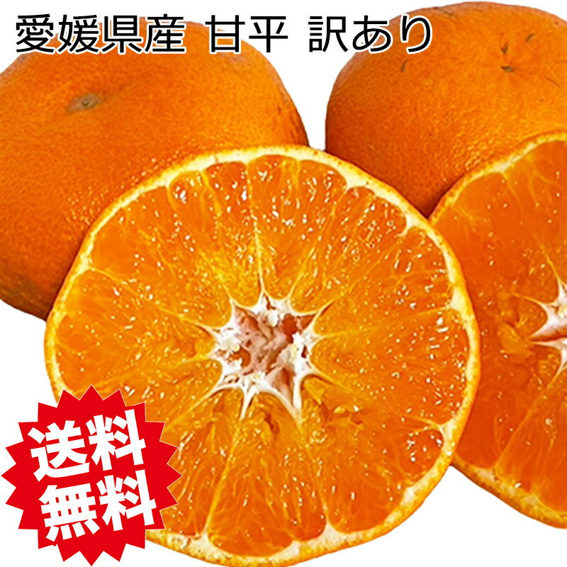 甘平 みかん 訳あり 2.5Kg 送料無料 希少柑橘 愛媛県産 甘平 2Lサイズ 2.5kg お試し 訳あり【2月中旬頃】