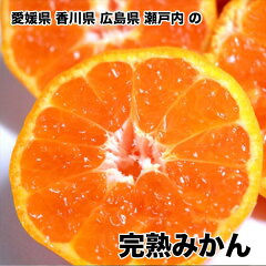 https://thumbnail.image.rakuten.co.jp/@0_mall/daiwaya-syunkaan/cabinet/citrus/kkanjyuku/imgrc0087811172.jpg