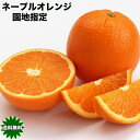 ネーブルオレンジ オレンジ ネーブル 送料無料 アメリカ カリフォルニア産 ネーブルオレンジ 園地指定 糖度保証 5kg 22玉前後 1