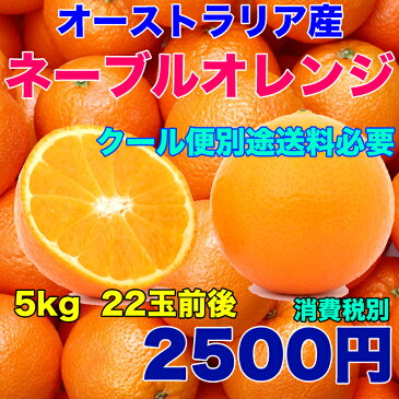 オーストラリア産　ネーブルオレンジ　約5kg 糖度保証　22玉前後　クール便別途送料必要※北海道・沖縄県離島は除く【RCP】