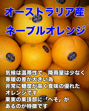 オーストラリア産　ネーブルオレンジ　約5kg 糖度保証　22玉前後　クール便別途送料必要※北海道・沖縄県離島は除く【RCP】