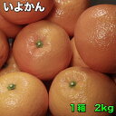 【訳あり★送料無料★期間限定】 愛媛県産いよかん 糖度保証 ...