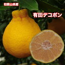 【送料無料】和歌山県産有田デコちゃん Lサイズ 約10kg ...