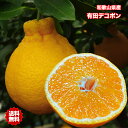 デコポン 有田 不知火 送料無料 3kg 和歌山県産 有田 デコポン 秀品 約3kg 7-12玉入 送料無料 デコポン お試し 贈答用