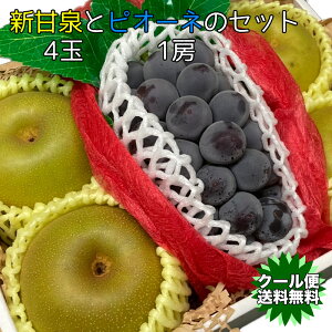 ギフト フルーツ詰合せ 送料無料 店長 いちおし 秋の味覚 新甘泉 と ピオーネ の 詰合せ セット 3980円 フルーツ くだもの 贈り物 ギフト 贈答品 食品 新甘泉 しんかんせん 梨 なし ふどう 旬によって産地異なるピオーネ 1房 新甘泉 4個 のセット【9月上旬以降】