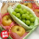 ぶとう 梨 セット シャインマスカット 南水 秋の味覚 山梨 岡山 長野県産 シャインマスカット と 長野県産 南水梨 の セット ブトウ なし 詰合せ 山梨 長野 フルーツ 贈り物 ギフト プレゼント