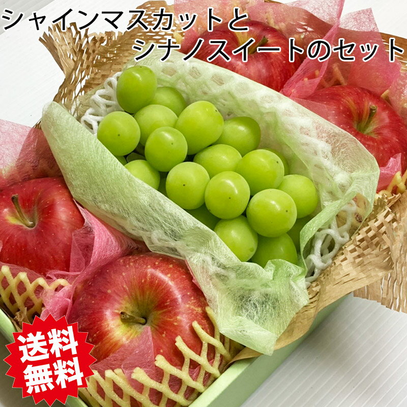 ぶとう りんご セット シャインマスカット シナノスイート 秋の味覚 シャインマスカット と シナノスイート の セット ブトウ リンゴ 詰合せ フルーツ 贈り...