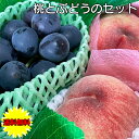 お中元 ギフト フルーツ詰合せ 送料無料 店長 いちおし 桃 と 黒ぶどう の 詰合せ セット フルーツ くだもの お取り寄せ 贈り物 ギフト 贈答品 食品 もも ふどう 巨峰 又はピオーネ 1房 桃 4個 のセット 旬によって産地が異なる