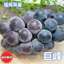 ぶどう 巨峰 きょほう 福岡県産 巨峰 2房入 600g (300g × 2) ギフト 御中元 ぶどう きょほう クール便 送料無料 お中元 ギフト