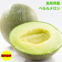 メロン マスクメロン ネットメロン ペルル 鳥取県産 ペルルメロン 高糖度 送料無料 ギフト プレゼント gift