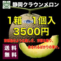 メロン 静岡県メロン白