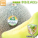 メロン タカミメロン 送料無料 贈答用 青森県産 タカミ メロン 1玉入 1.2Kg以上 化粧箱 メロン タカミメロン お中元 津軽メロン