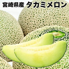 https://thumbnail.image.rakuten.co.jp/@0_mall/daiwaya-syunkaan/cabinet/melon/takamimelon/imgrc0081233110.jpg