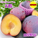 すもも プラム 太陽 たいよう 山梨県産 太陽 1箱 7-9玉入 ギフト プレゼント 贈答用 ぷらむ 送料無料