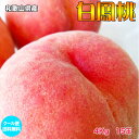 お中元 桃 もも モモ 送料無料 和歌山県産 白鳳桃 4kg 15玉入 光センサー 糖度保証 桃 和歌山 もも 送料無料 お中元 ギフト
