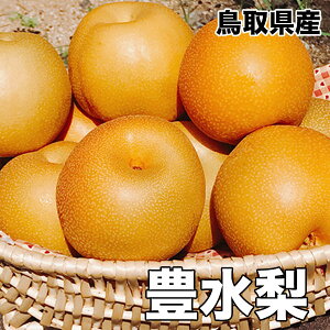 敬老の日 梨 なし 5kg 鳥取県産 豊水 梨 5kg 8〜20玉 送料無料 お試し 訳あり 梨 豊水 敬老の日 ギフト