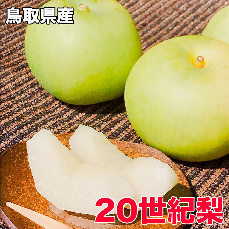 梨 なし 二十世紀梨 送料無料 鳥取県産 20世紀 梨 秀品 贈答用 敬老の日 ギフト