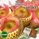 梨 南水梨 送料無料 5玉または6玉入 信州 長野県産 南水梨 秀品 化粧箱入り 5玉または6玉入 JAみなみ信州 正規品 送料無料 梨 南水 なし ナシ ギフト 贈答用 お歳暮 9月中旬頃から
