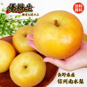 梨 なし 送料無料 優糖生 南水 長野県産 南水梨 優糖生 糖度14度以上の南水梨の優糖生 送料無料