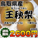 【送料無料★訳あり】鳥取県産王秋梨 約5kg 【RCP】