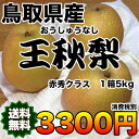 【送料無料】鳥取県産王秋梨 約5kg 赤秀クラス 【RCP】...