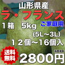 【送料無料】山梨県 ラ・フランス 約5kg(12〜16個入)...