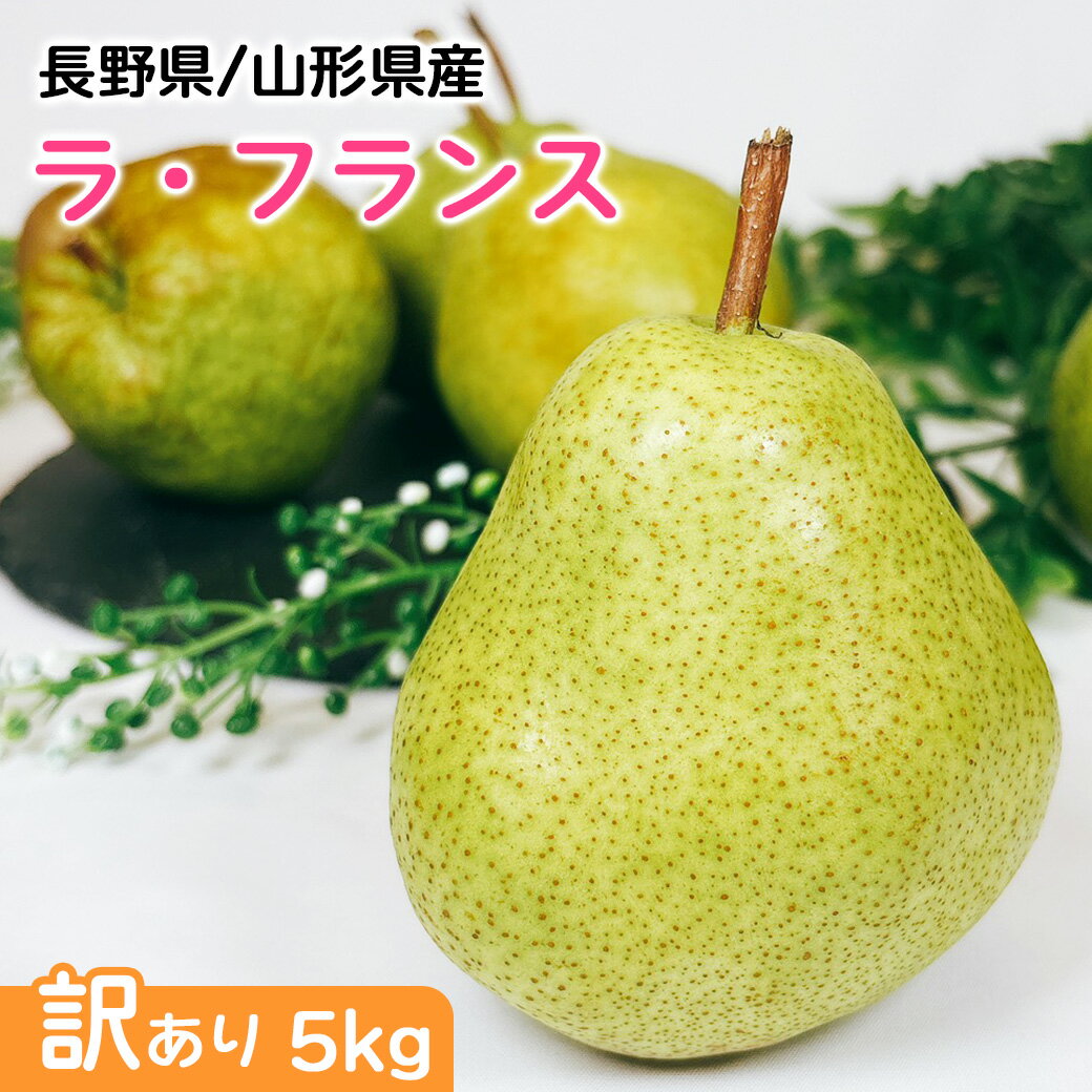 洋ナシ 梨 送料無料 5kg 訳あり ラ・フランス 山形県または長野県 ラ・フランス 5kg 12〜20個入 ご家庭用 クリーミーな果肉からあるれる美味しさ 果...