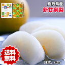 梨 新甘泉 送料無料 8玉入 鳥取県産 新甘泉梨 秀品 化粧箱入り 8玉入 梨 新甘泉 鳥取 なし ナシ ギフト 贈答用 敬老の日 ギフト