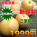 【送料無料】鳥取県産新興梨 約5kg(8〜18玉) ご家庭用...