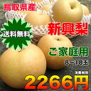 【送料無料】鳥取県産新興梨 約5kg(8〜18玉) ご家庭用...