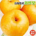 梨 鳥取県産 新興 梨 秀品 贈答用 梨 なし ギフト 送料無料 お歳暮 ギフト